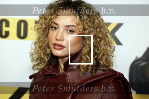 Amsterdam 29 januari 2024
Premiere Scotoe in Tuschinski met oa in de cast Sinan Eroglu Mohammed Chara Rose Bertram Said Boumazoughe Melisa Asli Pamuk Ferdi Stofmeel Daphne Deckers Emma Deckers en Oscar Aerts.