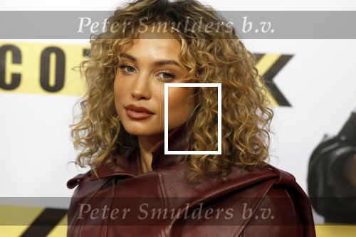 Amsterdam 29 januari 2024
Premiere Scotoe in Tuschinski met oa in de cast Sinan Eroglu Mohammed Chara Rose Bertram Said Boumazoughe Melisa Asli Pamuk Ferdi Stofmeel Daphne Deckers Emma Deckers en Oscar Aerts.