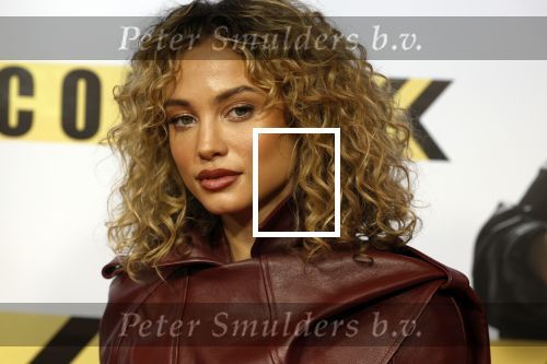Amsterdam 29 januari 2024
Premiere Scotoe in Tuschinski met oa in de cast Sinan Eroglu Mohammed Chara Rose Bertram Said Boumazoughe Melisa Asli Pamuk Ferdi Stofmeel Daphne Deckers Emma Deckers en Oscar Aerts.