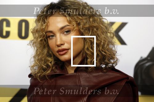 Amsterdam 29 januari 2024
Premiere Scotoe in Tuschinski met oa in de cast Sinan Eroglu Mohammed Chara Rose Bertram Said Boumazoughe Melisa Asli Pamuk Ferdi Stofmeel Daphne Deckers Emma Deckers en Oscar Aerts.