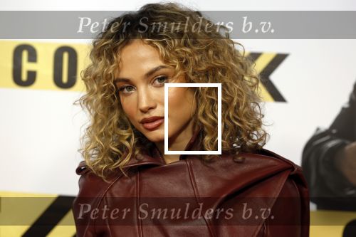 Amsterdam 29 januari 2024
Premiere Scotoe in Tuschinski met oa in de cast Sinan Eroglu Mohammed Chara Rose Bertram Said Boumazoughe Melisa Asli Pamuk Ferdi Stofmeel Daphne Deckers Emma Deckers en Oscar Aerts.