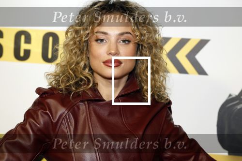 Amsterdam 29 januari 2024
Premiere Scotoe in Tuschinski met oa in de cast Sinan Eroglu Mohammed Chara Rose Bertram Said Boumazoughe Melisa Asli Pamuk Ferdi Stofmeel Daphne Deckers Emma Deckers en Oscar Aerts.