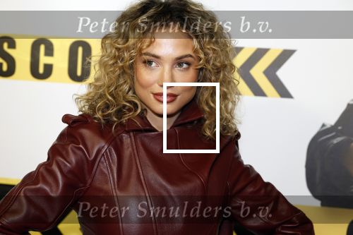 Amsterdam 29 januari 2024
Premiere Scotoe in Tuschinski met oa in de cast Sinan Eroglu Mohammed Chara Rose Bertram Said Boumazoughe Melisa Asli Pamuk Ferdi Stofmeel Daphne Deckers Emma Deckers en Oscar Aerts.