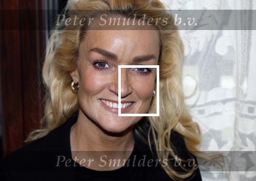 Amsterdam 6 februari 2024
Presentatie cast heel holland zingt Hazes met oa Jeroen v d Boom Samantha Steenwijk Frans bauer Wolter Kroes Kris Cross Amsterdam Douwe Bob Peter Beense en Tino Martin in het ziggo Dome .