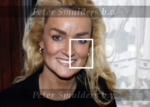 Amsterdam 6 februari 2024
Presentatie cast heel holland zingt Hazes met oa Jeroen v d Boom Samantha Steenwijk Frans bauer Wolter Kroes Kris Cross Amsterdam Douwe Bob Peter Beense en Tino Martin in het ziggo Dome .