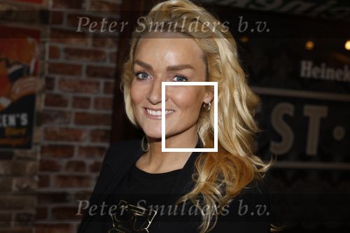 Amsterdam 6 februari 2024
Presentatie cast heel holland zingt Hazes met oa Jeroen v d Boom Samantha Steenwijk Frans bauer Wolter Kroes Kris Cross Amsterdam Douwe Bob Peter Beense en Tino Martin in het ziggo Dome .