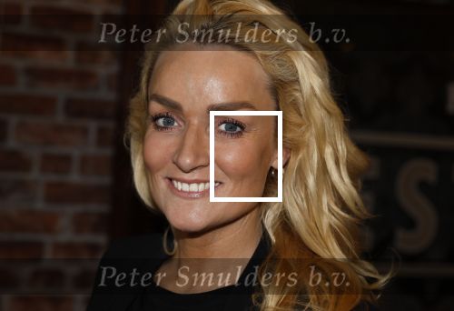 Amsterdam 6 februari 2024
Presentatie cast heel holland zingt Hazes met oa Jeroen v d Boom Samantha Steenwijk Frans bauer Wolter Kroes Kris Cross Amsterdam Douwe Bob Peter Beense en Tino Martin in het ziggo Dome .