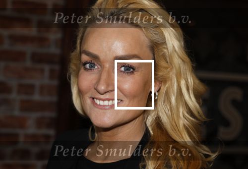 Amsterdam 6 februari 2024
Presentatie cast heel holland zingt Hazes met oa Jeroen v d Boom Samantha Steenwijk Frans bauer Wolter Kroes Kris Cross Amsterdam Douwe Bob Peter Beense en Tino Martin in het ziggo Dome .