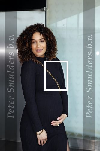 Amsterdam 3 februari 2024
Premiere Familie Vos in Pathe Arena. Sharon Doorson zwanger kwam met dochter en een vriendinnetje