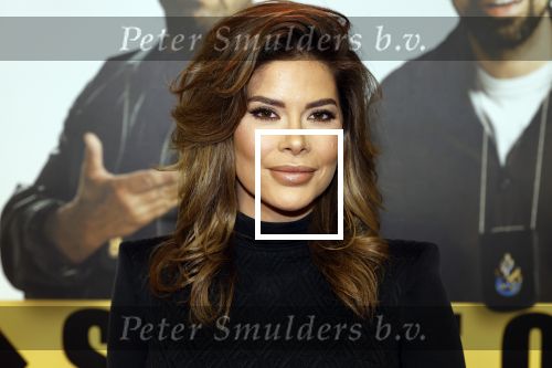 Amsterdam 29 januari 2024
Premiere Scotoe in Tuschinski met oa in de cast Sinan Eroglu Mohammed Chara Rose Bertram Said Boumazoughe Melisa Asli Pamuk Ferdi Stofmeel Daphne Deckers Emma Deckers en Oscar Aerts. Stephanie Tency