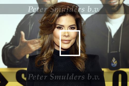 Amsterdam 29 januari 2024
Premiere Scotoe in Tuschinski met oa in de cast Sinan Eroglu Mohammed Chara Rose Bertram Said Boumazoughe Melisa Asli Pamuk Ferdi Stofmeel Daphne Deckers Emma Deckers en Oscar Aerts. Stephanie Tency