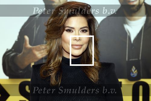 Amsterdam 29 januari 2024
Premiere Scotoe in Tuschinski met oa in de cast Sinan Eroglu Mohammed Chara Rose Bertram Said Boumazoughe Melisa Asli Pamuk Ferdi Stofmeel Daphne Deckers Emma Deckers en Oscar Aerts. Stephanie Tency
