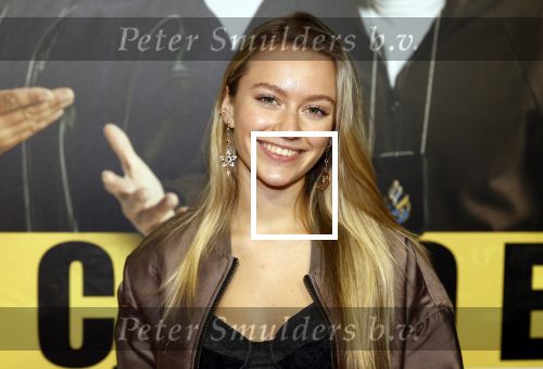 Amsterdam 29 januari 2024
Premiere Scotoe in Tuschinski met oa in de cast Sinan Eroglu Mohammed Chara Rose Bertram Said Boumazoughe Melisa Asli Pamuk Ferdi Stofmeel Daphne Deckers Emma Deckers en Oscar Aerts. Sterre Koning