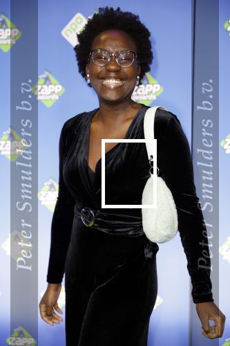 Hilversum 27 januari 2024
Zapp awards in studio 21 . Tirsa With