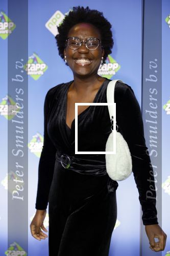 Hilversum 27 januari 2024
Zapp awards in studio 21 . Tirsa With