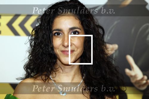 Amsterdam 29 januari 2024
Premiere Scotoe in Tuschinski met oa in de cast Sinan Eroglu Mohammed Chara Rose Bertram Said Boumazoughe Melisa Asli Pamuk Ferdi Stofmeel Daphne Deckers Emma Deckers en Oscar Aerts. Toprak Yalciner met partner