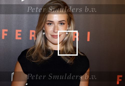 Amsterdam 17 januari 2024
Premiere Ferrari in Pathe arena . Victoria Vermeer