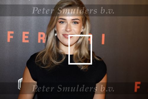 Amsterdam 17 januari 2024
Premiere Ferrari in Pathe arena . Victoria Vermeer