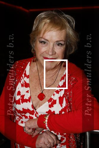 Laren 13 februari 2024
Presentatie nieuwe magazine van Niclole des Bouvrie in het Rosa Spier huis. Viola Holt kwam met haar man peter Holt
