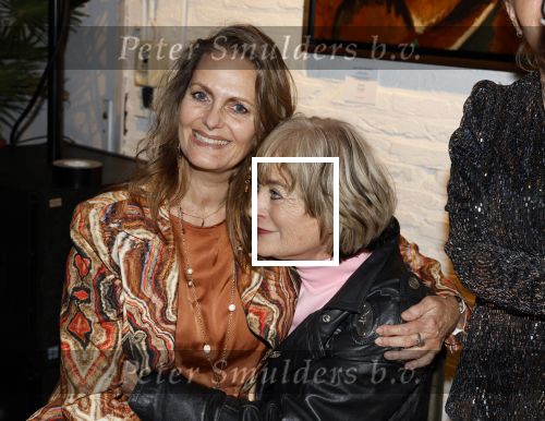 Breukelen 12 februari 2024
Ria Valk viert haar 65 jarig artiesten jubileum en krijgt een koninklijk onderscheiding van de burgemeester van de Ronde Venen. Vivian Boelen met de dochter van Ria Monique