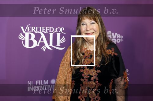 Den Bosch 27 januari 2024
Premiere verliefd op ibiza in de Brabant Hallen. Wieteke v Dort met haar man