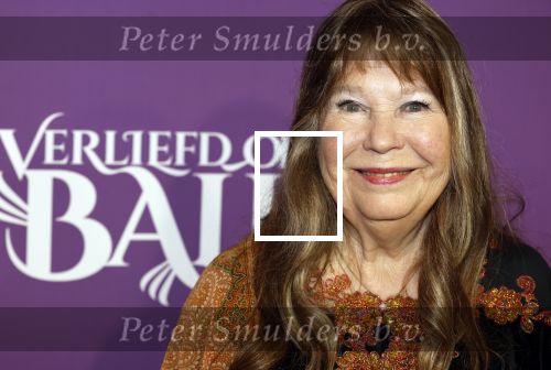 Den Bosch 27 januari 2024
Premiere verliefd op ibiza in de Brabant Hallen. Wieteke v Dort met haar man
