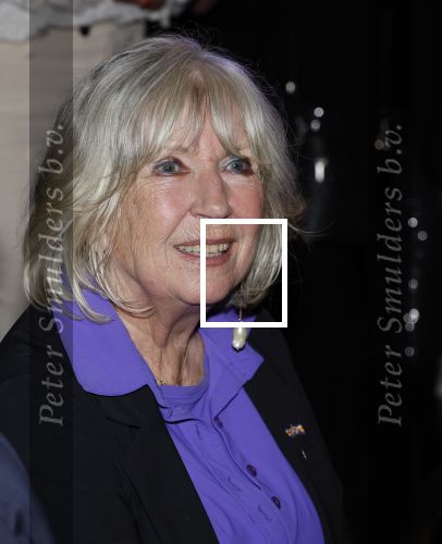 Breukelen 12 februari 2024
Ria Valk viert haar 65 jarig artiesten jubileum en krijgt een koninklijk onderscheiding van de burgemeester van de Ronde Venen. Willeke Alberti