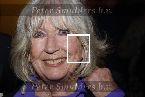 Breukelen 12 februari 2024
Ria Valk viert haar 65 jarig artiesten jubileum en krijgt een koninklijk onderscheiding van de burgemeester van de Ronde Venen. Willeke Alberti