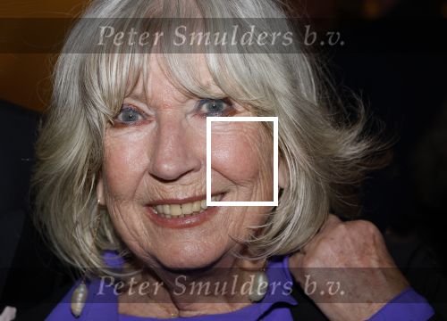 Breukelen 12 februari 2024
Ria Valk viert haar 65 jarig artiesten jubileum en krijgt een koninklijk onderscheiding van de burgemeester van de Ronde Venen. Willeke Alberti