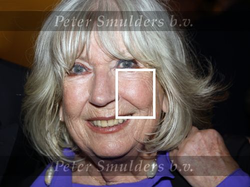 Breukelen 12 februari 2024
Ria Valk viert haar 65 jarig artiesten jubileum en krijgt een koninklijk onderscheiding van de burgemeester van de Ronde Venen. Willeke Alberti