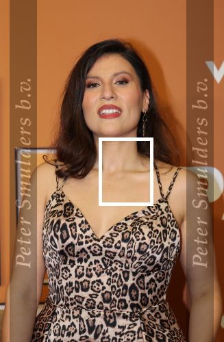 Amsterdam, 18 Februari 2024
Premiere Documentaire Patty Brard voor Videoland
Zahra Anna Lfil