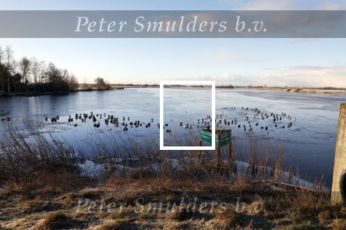 Zuiderwoude 18 januari 2024
Ijs op de wateren bij Zuiderwoude