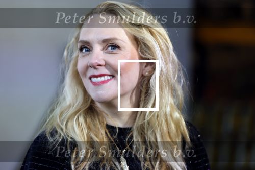 Amsterdam 16 januari 2025
Presentatie cast film Augurk met oa Frank Lammers | Regisseur 
Frank Groenveld | Producent 
Tibor Luacs | vertolkt de rol van Patrick
Jelka van Houten | vertolkt de rol van Helga
Olga Zuiderhoek | vertolkt de rol van Carina
Monic Hendrickx | vertolkt de rol van JosÃ©
Tim Haars | vertolkt de rol van Willem
Peter van den Begin | vertolkt de rol van Juan
De presentatie was bij Kesbeke