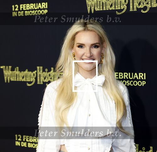Amsterdam 10 februari 2026
Premiere Wuthering Heights in Tuschinski . Angela v d Brink