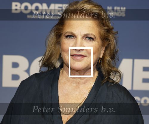 Amsterdam 16 februari 2026
Premiere Boomers met oa Huub Stapel Jennifer Hofman ( zwanger) Renee Fokker Johanna Ter Steege Hans Kesting Serge Henri Valcke ea  in Tuschinski . Anneke Blok