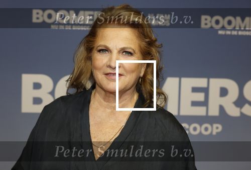 Amsterdam 16 februari 2026
Premiere Boomers met oa Huub Stapel Jennifer Hofman ( zwanger) Renee Fokker Johanna Ter Steege Hans Kesting Serge Henri Valcke ea  in Tuschinski . Anneke Blok