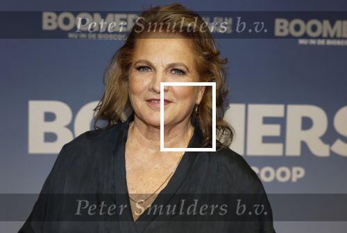 Amsterdam 16 februari 2026
Premiere Boomers met oa Huub Stapel Jennifer Hofman ( zwanger) Renee Fokker Johanna Ter Steege Hans Kesting Serge Henri Valcke ea  in Tuschinski . Anneke Blok