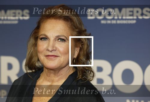Amsterdam 16 februari 2026
Premiere Boomers met oa Huub Stapel Jennifer Hofman ( zwanger) Renee Fokker Johanna Ter Steege Hans Kesting Serge Henri Valcke ea  in Tuschinski . Anneke Blok