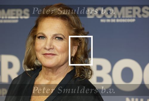Amsterdam 16 februari 2026
Premiere Boomers met oa Huub Stapel Jennifer Hofman ( zwanger) Renee Fokker Johanna Ter Steege Hans Kesting Serge Henri Valcke ea  in Tuschinski . Anneke Blok