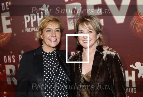 Amsterdam 26 januari 2026
Premiere ons pap wil bij de revue in het deLaMar theater . Annemieke Ruyten