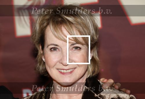 Amsterdam 26 januari 2026
Premiere ons pap wil bij de revue in het deLaMar theater . Annemieke Ruyten