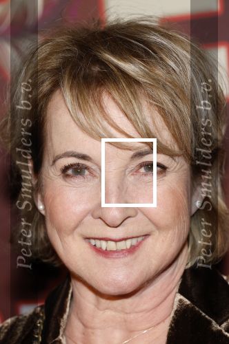 Amsterdam 26 januari 2026
Premiere ons pap wil bij de revue in het deLaMar theater . Annemieke Ruyten