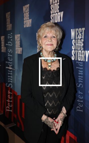 Amsterdam 4 februari 2026
Premiere West side Story in Carre. Astrid Engels