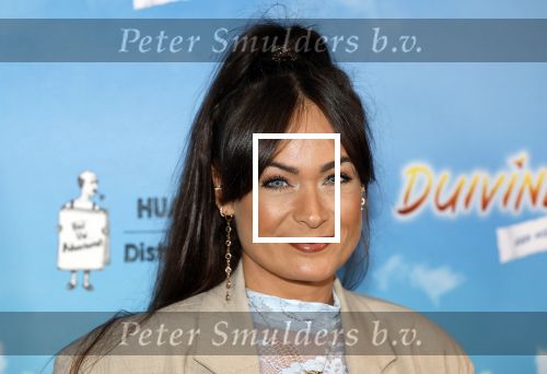 Amsterdam 31 januari 2026
Premiere Duivinder in het VUE  theater .  Rik Sinkeldam en partner Belinda Vermeer