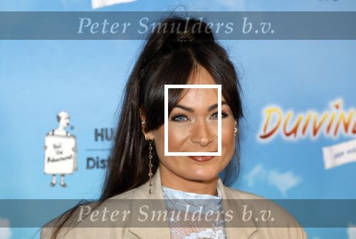 Amsterdam 31 januari 2026
Premiere Duivinder in het VUE  theater .  Rik Sinkeldam en partner Belinda Vermeer