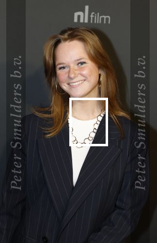 Amsterdam 5 februari 2026
Premiere Vakkenvullers XL in Pathe Noord . Bobbie Mulder