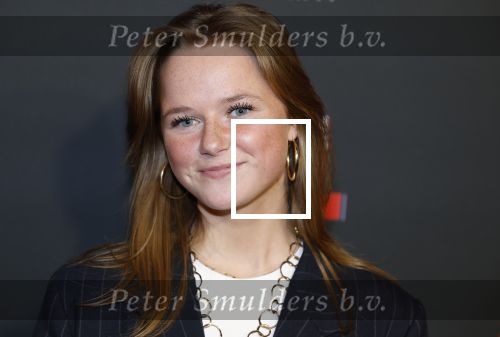Amsterdam 5 februari 2026
Premiere Vakkenvullers XL in Pathe Noord . Bobbie Mulder
