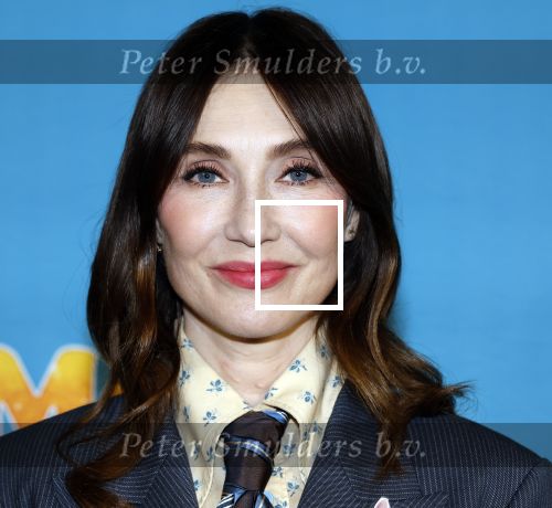Amsterdam 24 januari 2026
Premiere Miss Molly in Tuschinski met in de cast oa Sarah Bannier (zwanger) en Carice v Houten .