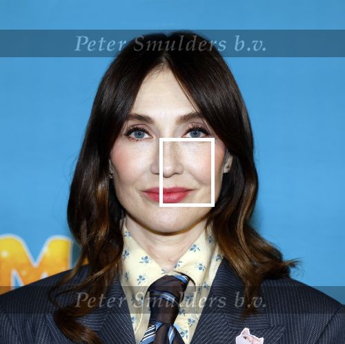Amsterdam 24 januari 2026
Premiere Miss Molly in Tuschinski met in de cast oa Sarah Bannier (zwanger) en Carice v Houten .