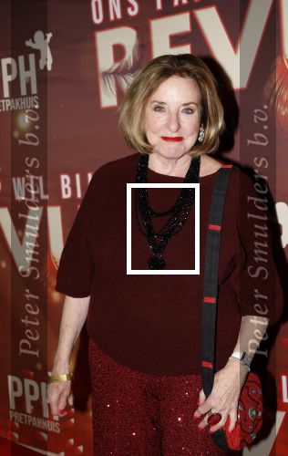 Amsterdam 26 januari 2026
Premiere ons pap wil bij de revue in het deLaMar theater . catherine Keyl